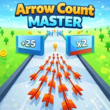 Arrow Count Master
