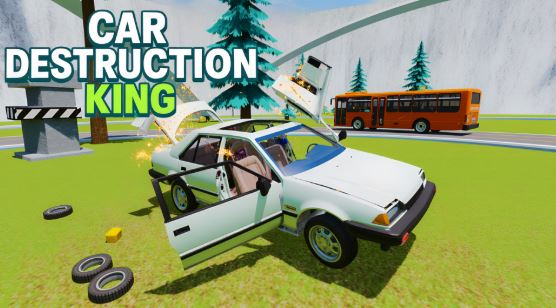 Car Destruction King